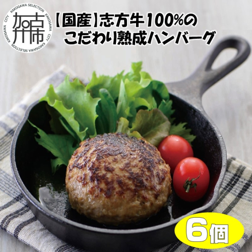 【国産】志方牛100%のこだわり熟成ハンバーグ150g×6個【2401I05941】 967643 - 兵庫県加古川市