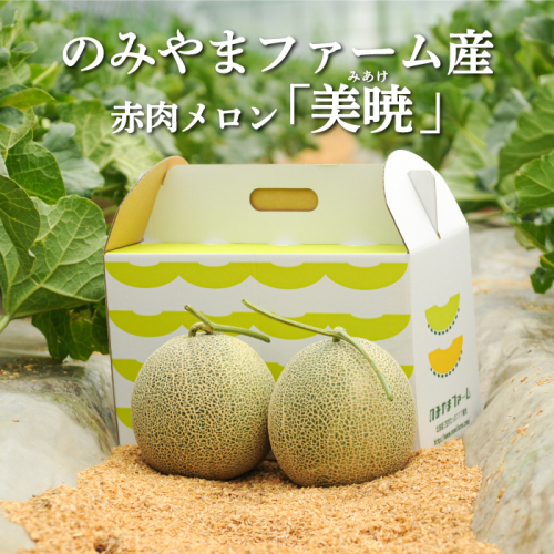 《2025年分受付中》≪数量限定！≫のみやまファームの赤肉メロン「美暁」（各1.6kg以上を2玉）【01167】 967940 - 北海道三笠市