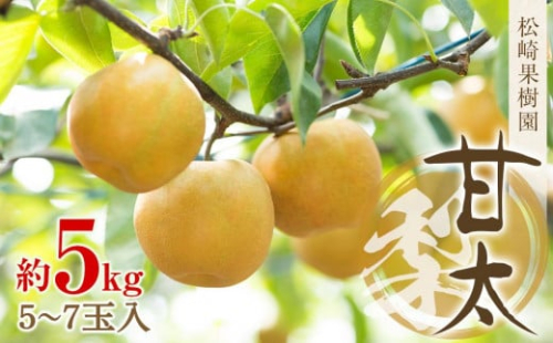 梨「甘太」約5kg（5～7玉入）【松崎果樹園】 969828 - 宮城県角田市