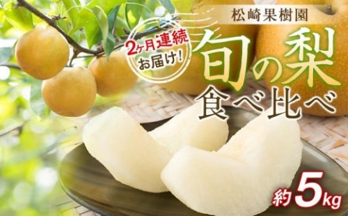 2ヶ月連続お届け 旬の梨食べ比べ 約5kg【松崎果樹園】 969832 - 宮城県角田市
