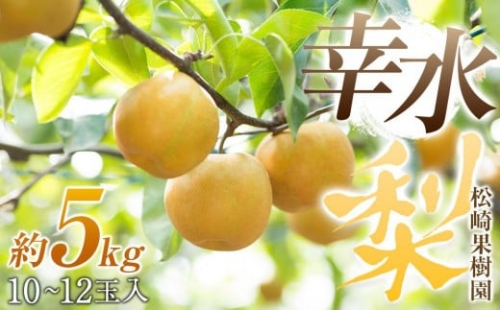 梨「幸水」約5kg（10～12玉入）【松崎果樹園】 969833 - 宮城県角田市
