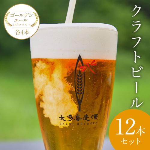 W02904 クラフトビール１２本セットゴールデンエールIPAスタウト各４本 970756 - 千葉県大多喜町