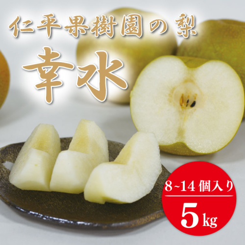 【先行予約】【数量限定】仁平果樹園の梨 「幸水」5kg (8個～14個) (8月中旬より順次配送) | 果物 新鮮 フルーツ ギフト 梨 ナシ 益子町産梨 甘い あまい 糖度11.5以上 糖度保証 果汁 果肉 栃木県 益子町 (DB001) 972161 - 栃木県益子町