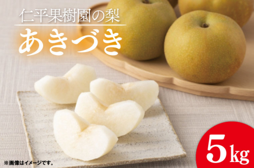 【先行予約】【数量限定】仁平果樹園の梨 「あきづき」5kg (8個～14個)(9月中旬より順次配送) | 果物 新鮮 フルーツ ギフト 梨 ナシ 益子町産梨 甘い あまい 糖度11.5以上 糖度保証 果汁 果肉 栃木県 益子町 (DB003) 972163 - 栃木県益子町