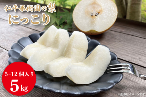 【先行予約】【数量限定】仁平果樹園の梨 「にっこり」5kg (5個～12個) (10月上旬より順次配送) | 果物 新鮮 フルーツ ギフト 梨 ナシ 益子町産梨 甘い あまい 糖度11.5以上 糖度保証 果汁 果肉 栃木県 益子町 (DB005) 972165 - 栃木県益子町