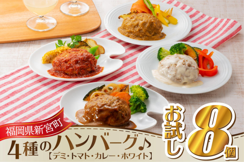 ZG139.累計７０万個突破記念！お試し1.2kg!４種ハンバーグセット【150g×8個】 97261 - 福岡県新宮町