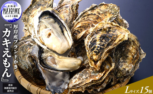 厚岸産ブランドかき カキえもん Lサイズ 15個セット 北海道 牡蠣 カキ かき 生食 生食用 生牡蠣 魚介類 973347 - 北海道厚岸町