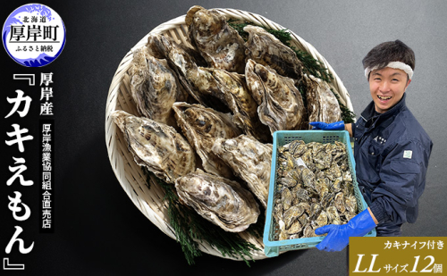 厚岸産 ブランドかき カキえもん LLサイズ 12個  牡蠣 魚介類  973348 - 北海道厚岸町