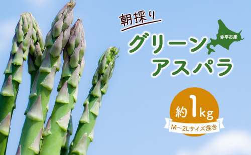 アスパラ 北海道 朝採り 春グリーンアスパラ 約1kg［ほりぐち農園］ ※2025年4月中旬出荷開始先行予約 野菜 アスパラガス グリーンアスパラ 旬 とれたて お取り寄せ 産地直送 生産者直送   97617 - 北海道赤平市