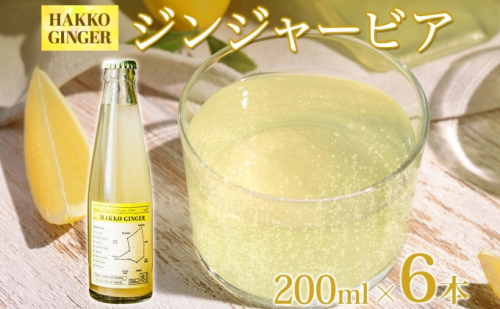 北海道 自家製 ジンジャービア 200ml×6本 HAKKO GINGER 発酵 ジンジャー ビール 生姜 レモン 辛口 ノンアルコール 炭酸 ヘルシー 野菜飲料 野菜ジュース 飲料類 炭酸飲料  97632 - 北海道倶知安町