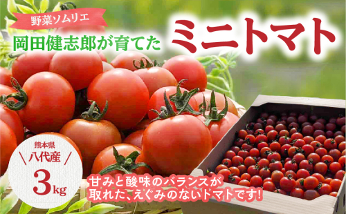 【先行予約】 野菜ソムリエ岡田健志郎が育てた ミニトマト 3kg以上 トマト 野菜 熊本県産 新鮮 サラダ やさい とまと 八代市産 九州 【2025年12月上旬より順次発送】 977976 - 熊本県八代市
