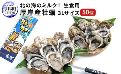 北の海のミルク！ 厚岸産 牡蠣 3Lサイズが50個！ 生食用 生牡蠣 貝付き牡蠣 貝 海鮮 魚介類 殻付き牡蠣 マルえもん メルマガ掲載商品3  979865 - 北海道厚岸町