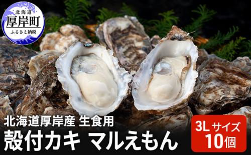 北海道厚岸産 生食用　殻付カキ3Lサイズ10個　マルえもん 魚貝類 海の幸 海のミルク 海鮮 国産 北海道産 オイスター つまみ お酒 あて 肴 生牡蠣 メルマガ掲載商品1  979870 - 北海道厚岸町