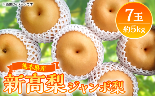 【先行予約】熊本県産　新高梨 ジャンボ梨 7玉 （約5kg）にいたか【2025年9月中旬より順次発送】 982961 - 熊本県八代市