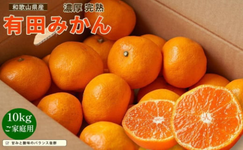 ［先行予約］ご家庭用 完熟有田みかん 約10kg［2025年12月発送予定］訳あり 農家直送［MS6-2］
