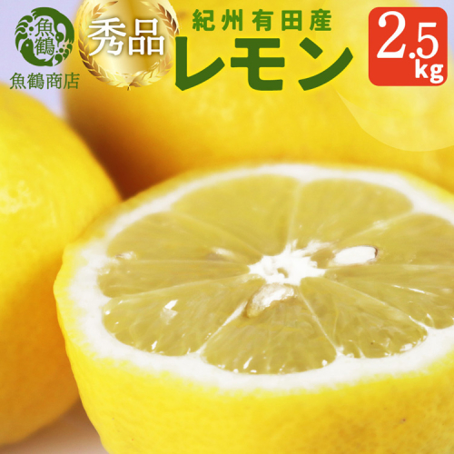 秀品　紀州有田産レモン　2.5kg ※2026年3月上旬～3月中旬頃に順次発送予定 983906 - 和歌山県美浜町