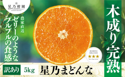 ＜三つ星ブランド＞星乃みかん園の星乃まどんな(5kg)＜訳あり＞＜D45-62＞【1339328】