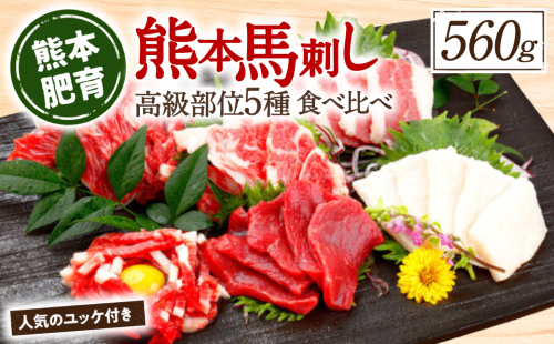 熊本馬刺し 高級赤身 霜降り たてがみ など5種を贅沢に楽しむセットに馬刺しユッケ付き 984263 - 熊本県八代市