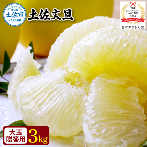 【日本ギフト大賞2024受賞】園主こだわり土佐文旦【化粧箱贈答用：大玉3kg】（3L～2L） 2026年1月下旬より順次発送 ぶんたん ブンタン 柑橘 フルーツ 果物 贈答 ギフト 土佐 高知 やの一果彩 984305 - 高知県土佐市