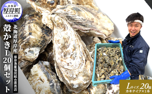厚岸産 殻かき L 20個セット 北海道 牡蠣 カキ かき 生食  魚介類 マルえもん 987338 - 北海道厚岸町
