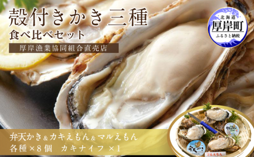 北海道厚岸産【殻かき三種】食べ比べ セット 魚貝類 生牡蠣 送料無料 新鮮 濃厚 大粒  987389 - 北海道厚岸町