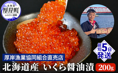 北海道産 いくら 醤油漬け 200g 魚貝類 魚卵 いくら醤油漬け イクラ  987416 - 北海道厚岸町