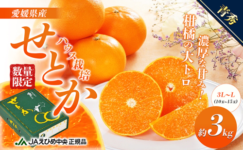 せとか ハウス栽培 青秀 約3kg 果物類 みかん 柑橘 フルーツ 食後 デザート ジューシー 甘い コク 香り 国産 愛媛県産 愛媛県産せとか 989264 - 愛媛県東温市