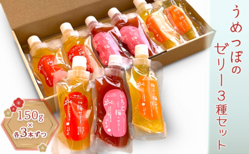 うめっぽのゼリー3種セット9本入り　福井県おおい町産梅使用 お菓子 生菓子 スイーツ ひんやりスイーツ 涼 梅ゼリー 柚子 いちご ミックスゼリー 完熟梅ゼリー 食べ比べ  991954 - 福井県おおい町