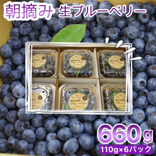 【訳あり】＜すだ農園＞栽培期間中農薬不使用 朝摘み ブルーベリー 生果実【小粒・中粒ふぞろい】660g ｜ 旬 果実 新鮮 フルーツ ※2025年8月上旬～9月初旬頃に順次発送予定 ※北海道・沖縄・離島への発送不可 992251 - 京都府亀岡市