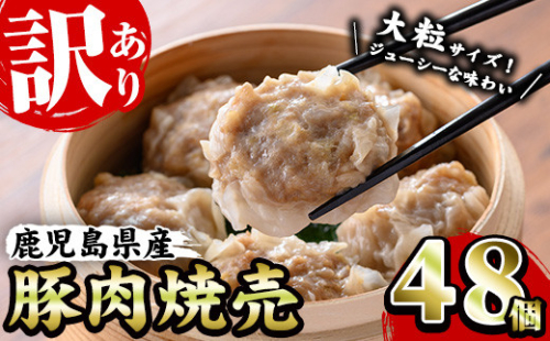 【訳あり】鹿児島県産豚肉使用 焼売48個セット（計48個・24個×2P）焼売 シュウマイ しゅうまい シューマイ 業務用 国産 冷凍 冷凍食品 レンジ お弁当 おかず 惣菜 時短 夕食 【A-1873H】