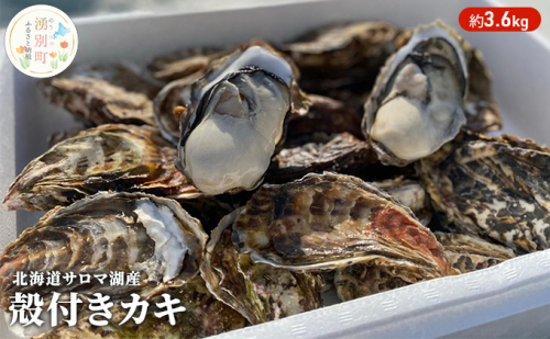 【国内消費拡大求む】先行予約 北海道 サロマ湖産 カキ 約3.5kg 牡蠣 かき 海鮮 魚介 国産 殻付き 貝付き 生牡蠣 生食 焼き牡蠣 蒸し牡蠣 冷蔵 産地直送 オホーツク 魚貝類 99692 - 北海道湧別町