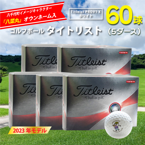【 2023年9月30日まで 】 ゴルフボール タイトリスト PROV1X ホワイト 5ダース ( 60球 ) 八菜丸 プロV1x Titleist ゴルフ ボール 期間限定 スポーツ [BW022ya] 998525 - 茨城県八千代町