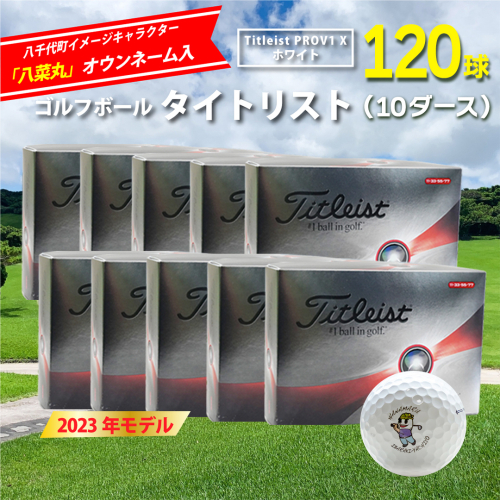 【 2023年9月30日まで 】 ゴルフボール タイトリスト PROV1X ホワイト 10ダース ( 120球 ) 八菜丸 プロV1x Titleist ゴルフ ボール 期間限定 スポーツ [BW023ya] 998526 - 茨城県八千代町