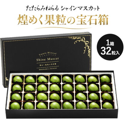 【先行予約】シャインマスカット 岡山 ギフト たたらみねらる 煌めく果粒の宝石箱 Y&G.ディストリビューター株式会社《8月下旬-10月下旬頃出荷》糖度18度以上 甘い 種無し 獲れたて ぶどう ブドウ 葡萄 マスカット 998622 - 岡山県笠岡市