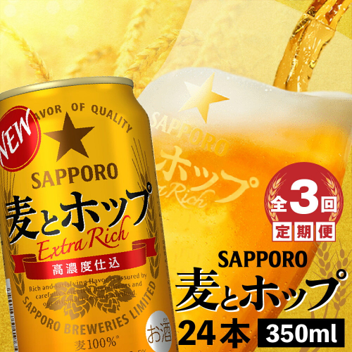『定期便：全3回』麦とホップ350ml×24本【30008301】 99902 - 北海道恵庭市