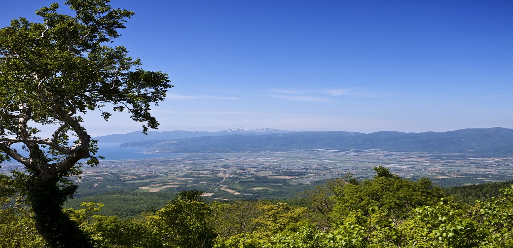 共和町