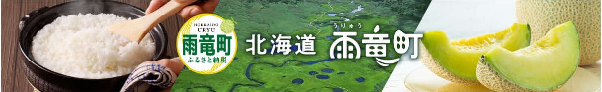 雨竜町