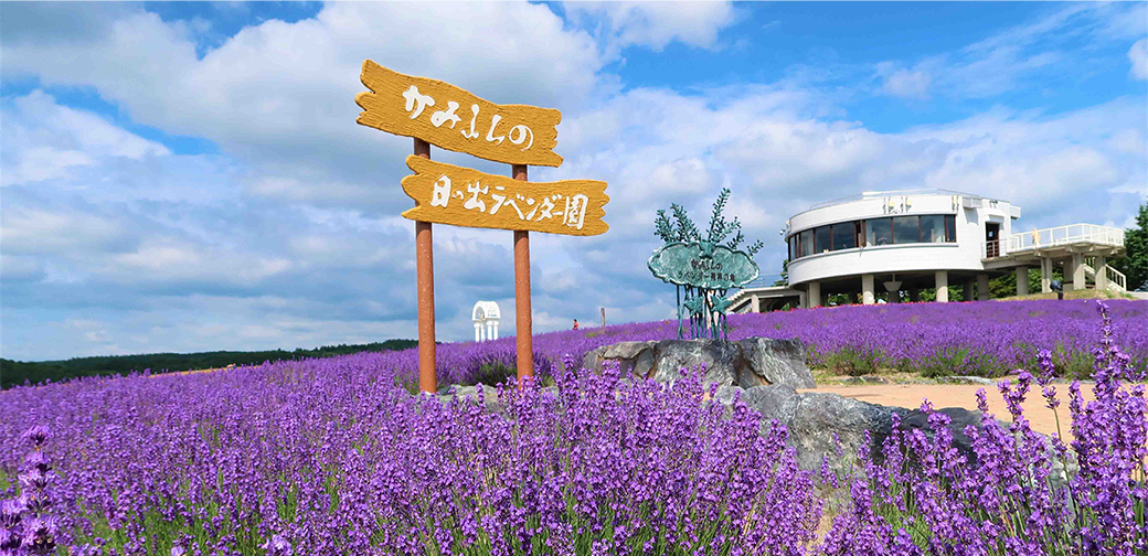 上富良野町