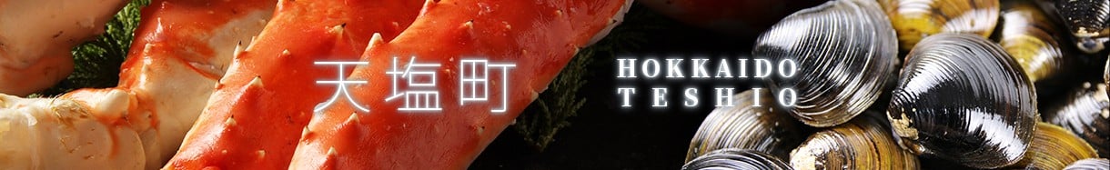 天塩町
