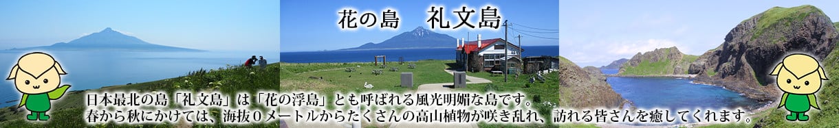 礼文町