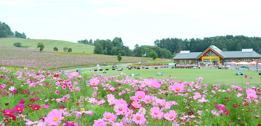 遠軽町