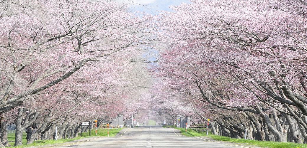 浦河町