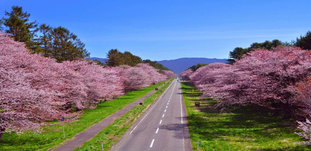 新ひだか町