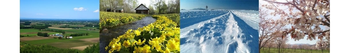 中札内村