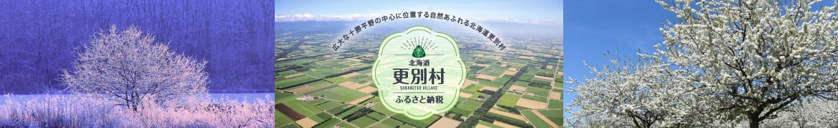 更別村