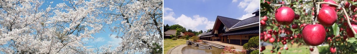 五戸町