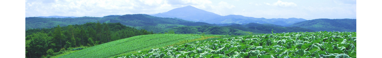岩手町
