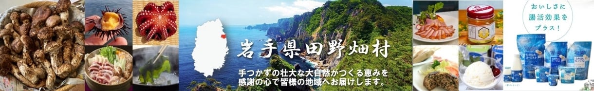 田野畑村