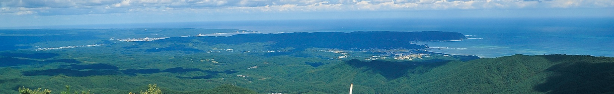 野田村