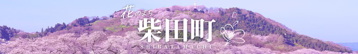 柴田町